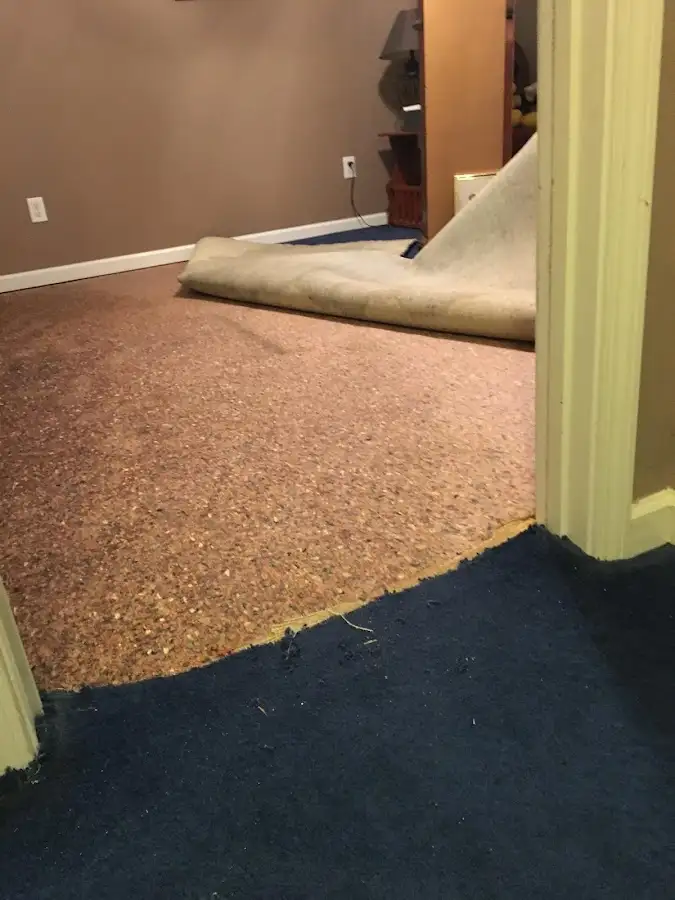 Carpet pad removal revealing water damage during Drying & Dehumidification in Clemson