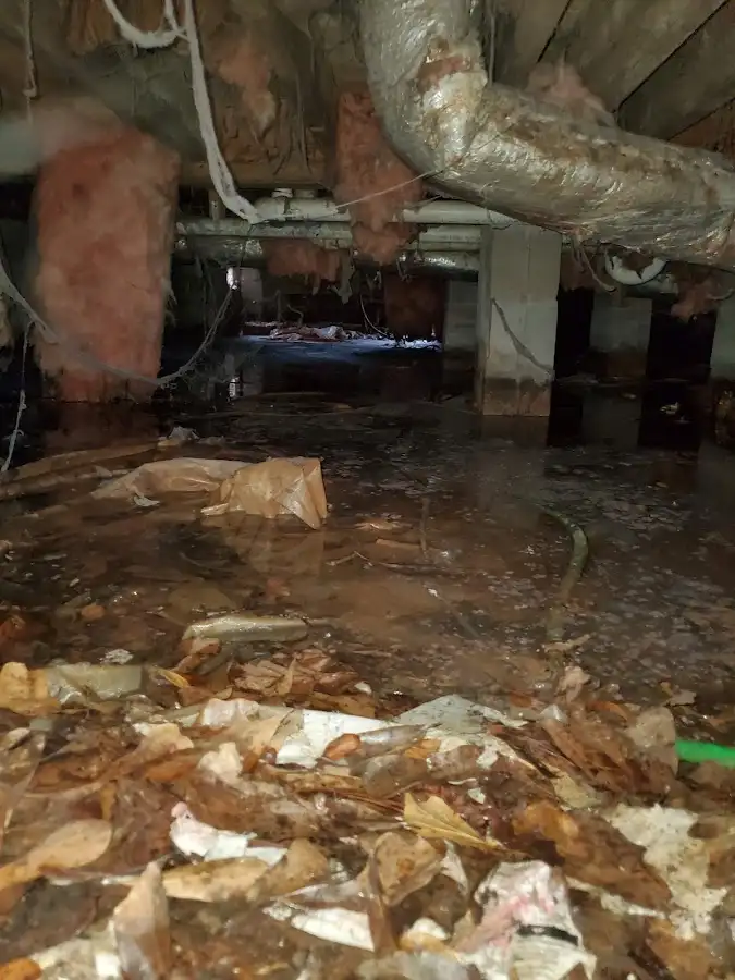 Crawl space flood assessment for Commercial Water Damage Restoration in Clemson